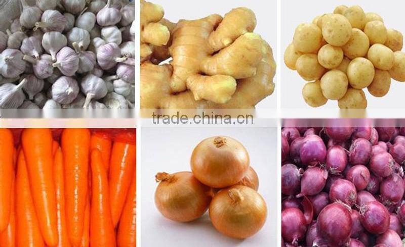 Pure white garlic (snow white garlic, super white garlic)