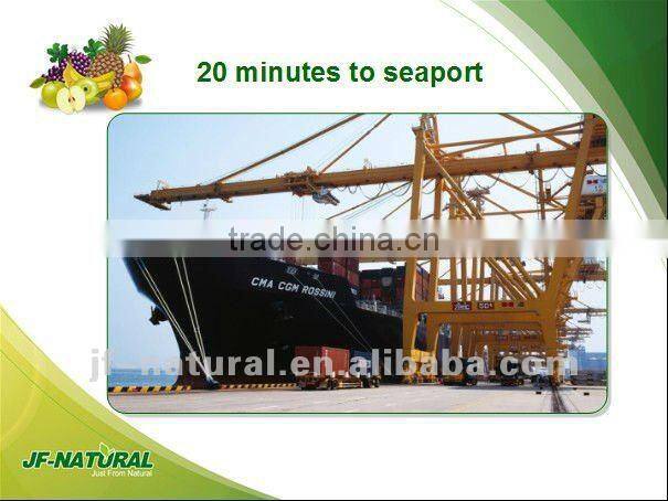 100% NATURAL oem tablet ISO, GMP, HACCP, KOSHER, HALAL certificated.