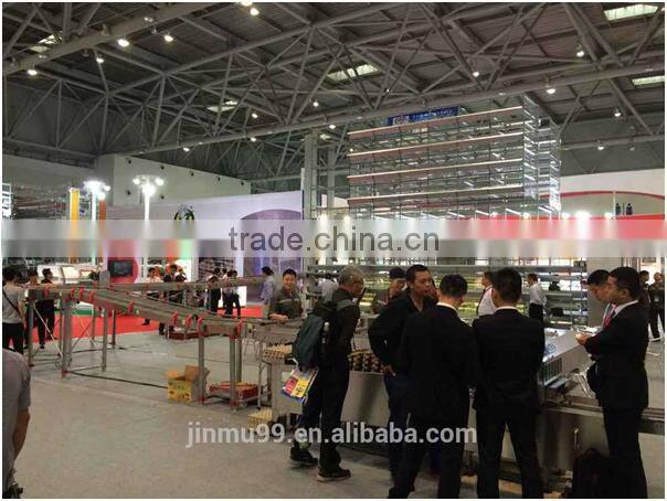 High quality galvanised steel wire layer chicken cage for sale