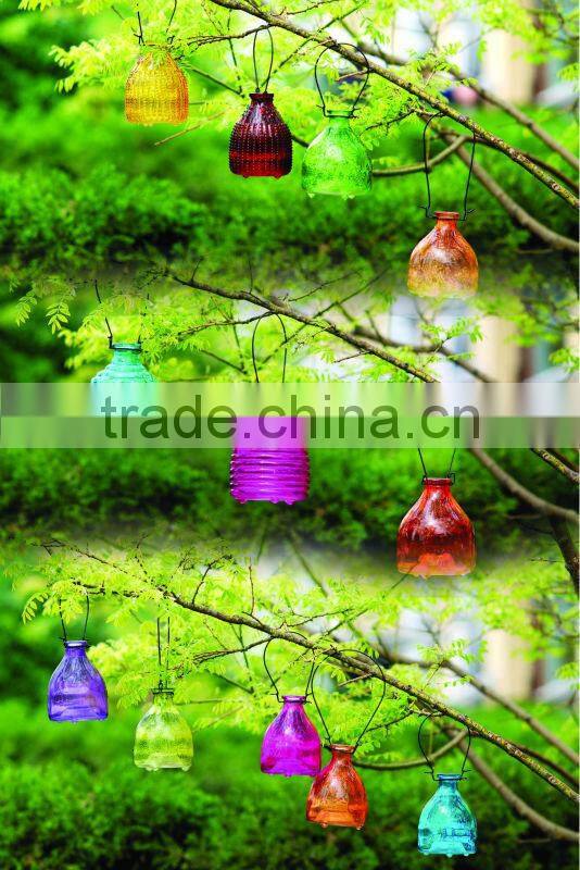 beautiful colored glass wasp catcher