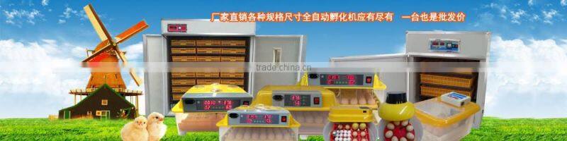 digtal controller mini egg incubator price fully automatic hatchery WQ-18