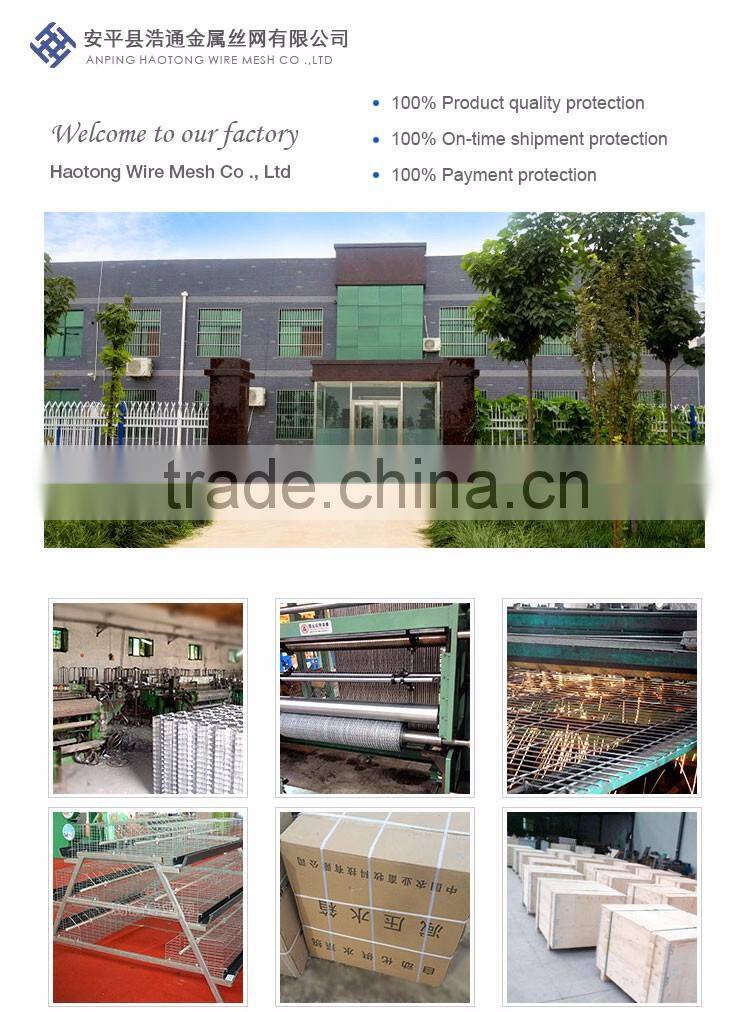 30 Years' factory supply automatic chicken broiler cages