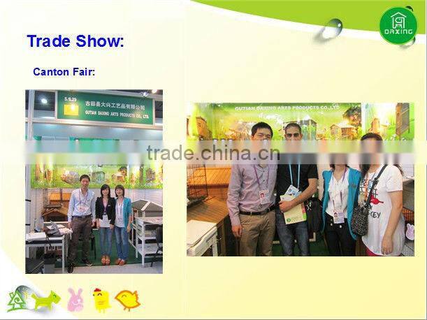 bird breeding cage DXBC005