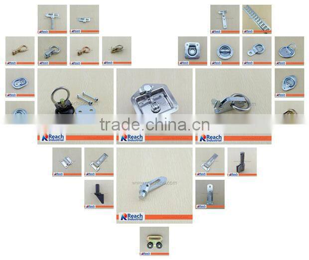 Stainless Steel Flush Hinge for Cargo Tralier