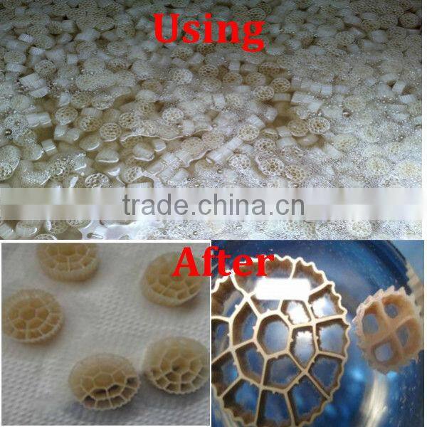 Plastic Bio Filter Media & MBBR & Biological Water Treatment Media