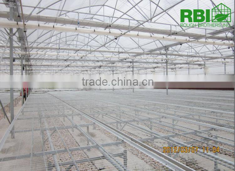 Vegetable commercial film low cost greenhouse multi span high quality for agriculture