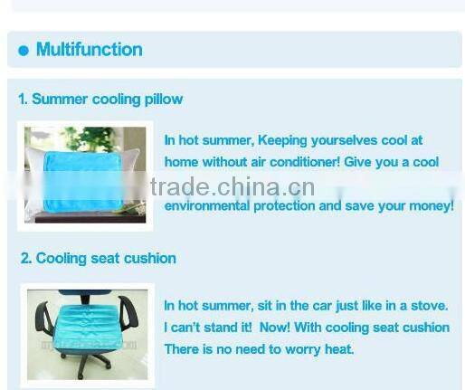 newest and eco-friendly ice pad , ice cushion for computer for pet