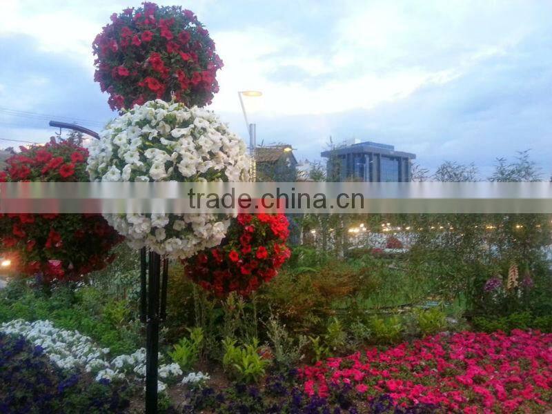 Plastic Hanging Flower Ball Planter