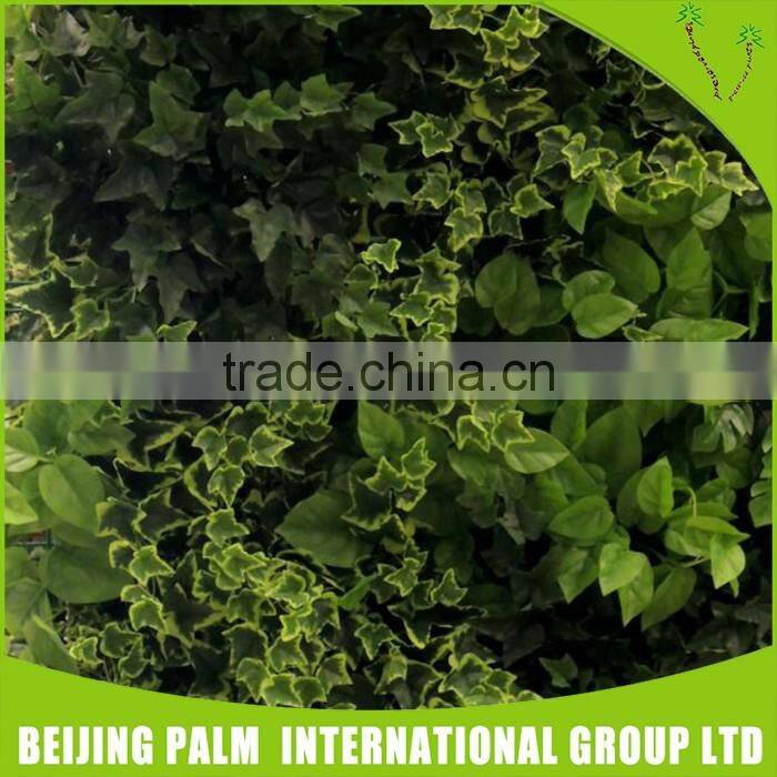 Fake Plant Wall Foliage Plants Artificial Green Wall For Garden Ornaments
