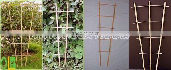 Bamboo trellis for plant supporting