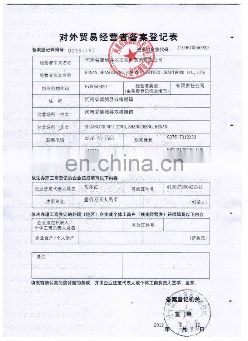 white masquerade party mask with cock feather