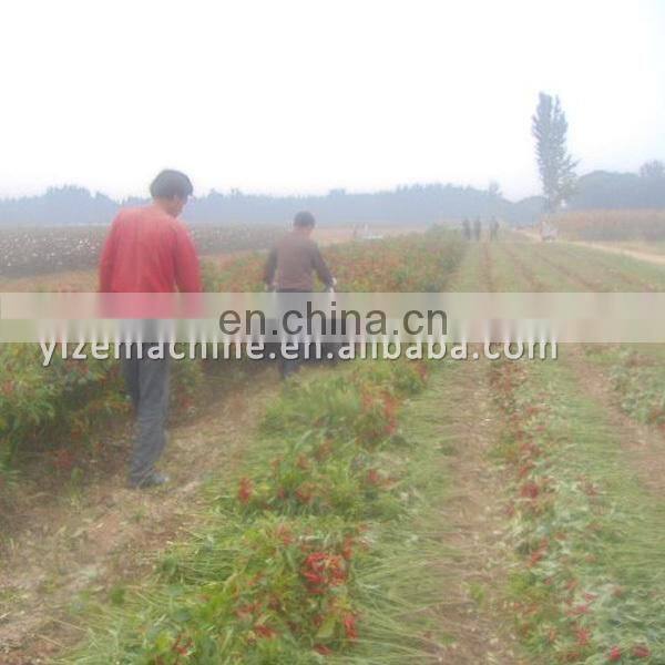 chili harvester , chili reaper , small mini chili combine harvester