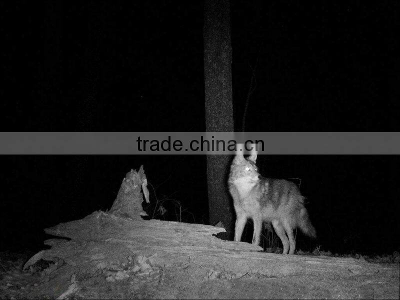 940/850NM 720P HD Hunting Equipment Camera Compact with Advanced Features