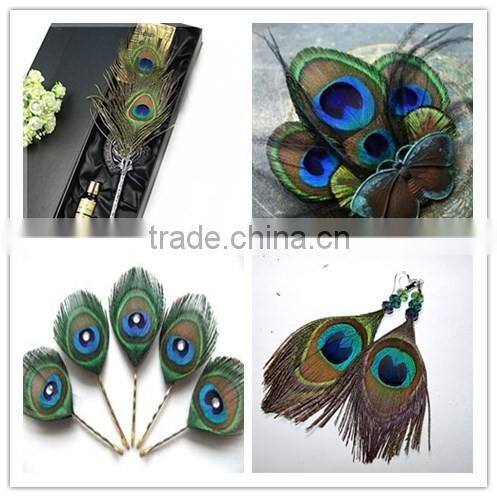 Natural Artificial Hobby Lobby Peacock Feathers