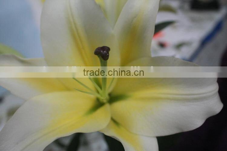 Alibaba china fresh cut flower lily promotional lili and rose flower