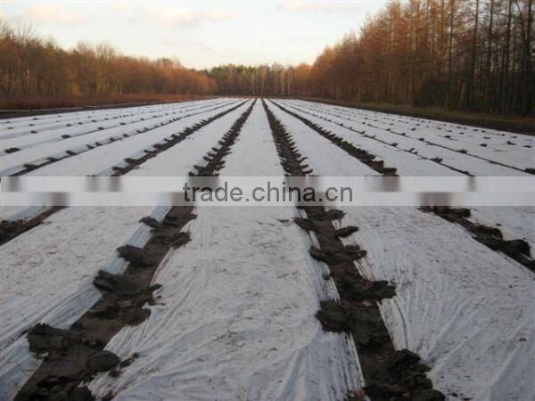 Professional polypropylene hydrophobic Nonwoven Fabric made in China