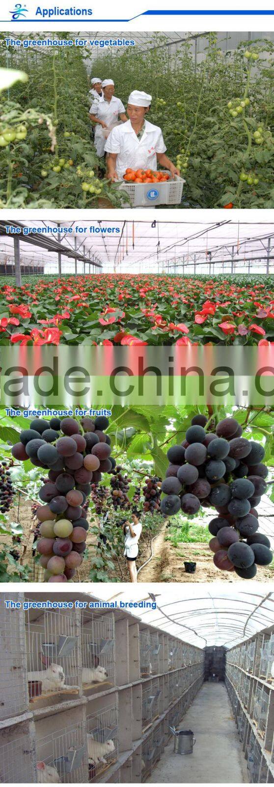 Agricultural Greenhouse Seedbed for nursery