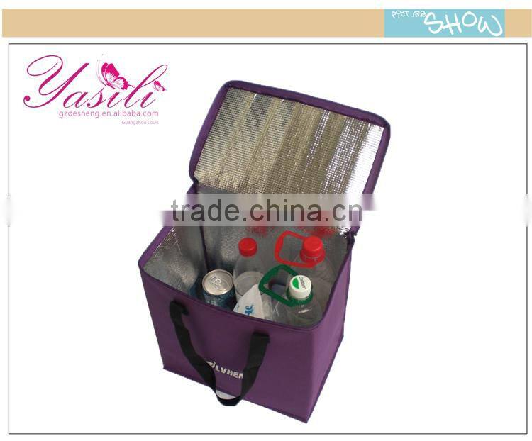 fashionable beer bottle cooler bag traveling cooler bag for medication