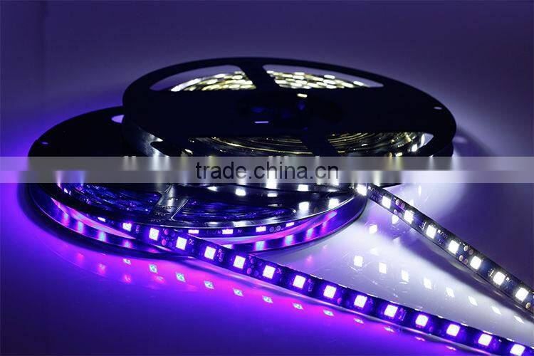 12v Led Lights Blue Color SMD5050