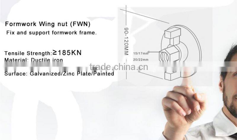 Hot Treatment Cast Nut D15/ D20 Thread Wing Nut