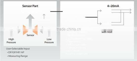 RP62 high accuracy smart pressure remote transmitter