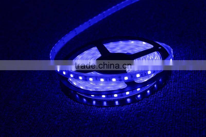 2016 Hotsale Decoration Light Europe Color Changing 12V led Strips light