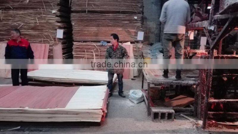 Hot sale! commercial plywood with CE/CARB/ FSC/ SGS/ ISO certified