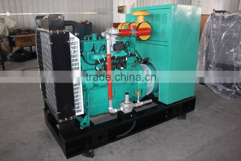 20kw power electric biogas generator genset for sale