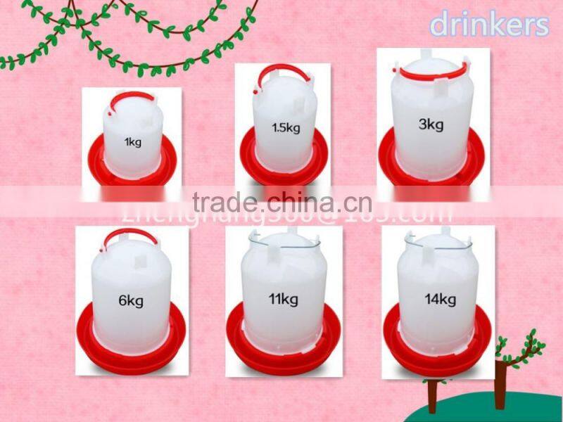 best price 96 chickens cage chicken cage factory in china