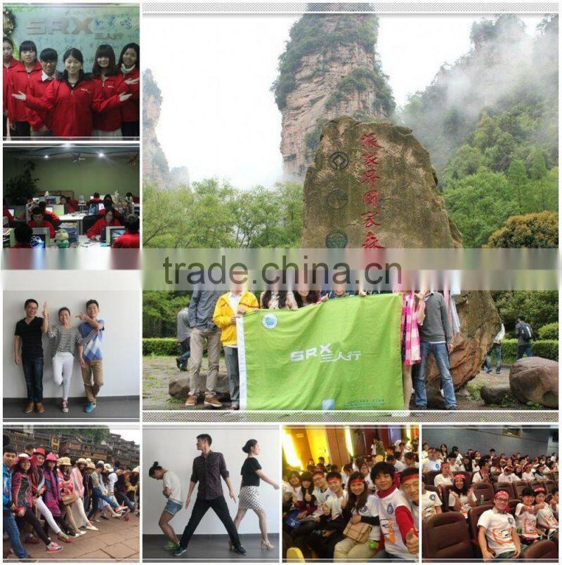 Custom High quality cute anime toys decoration home bonsai figurines decoration items