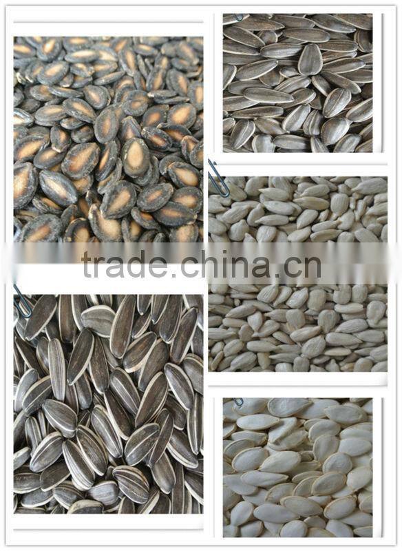 Good quality Watermelon seed Kernels