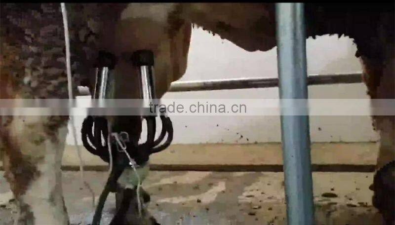 Milking Machine System with Automatic Cluster Remover