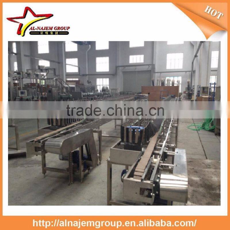 Inverse PET Bottle Conveyor System With Sterilizing Chain