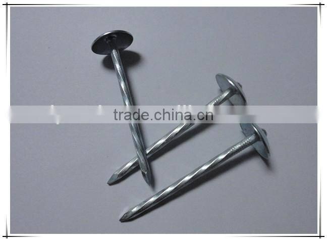 1.5"*14G Umbrella Head smooth plain Shank Roofing Nail china factory