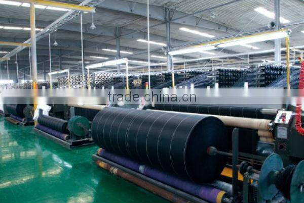 Textured and Perforated Geocell