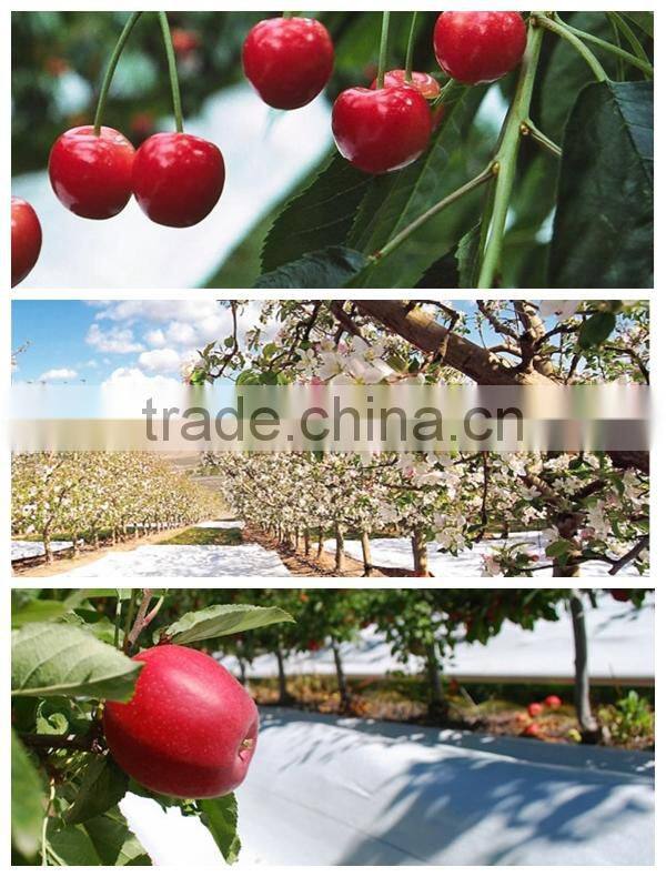 high quality silver reflective ground cover fabric