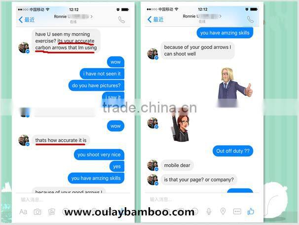 Carbon Arrows With Automatic Lighted Led Nocks/S nocks And Blazer Vanes