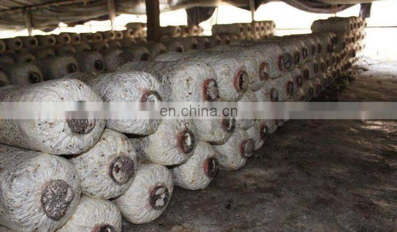 Semi-automatic mushroom bagging machine/Fungus plastic bag packing machine for price