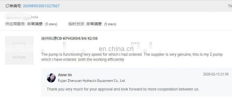 Denison PV series PV6 PV10 PV15 PV20 PV29 PV38 PV47 hydraulic piston pump PV20-2R1D-C00-J343 PV6-2R1C-C00 PV10-2R1C-C00