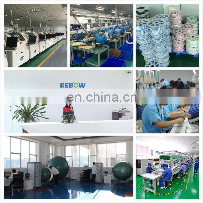 12V 24V LED Neon Flex 120LEDs/m 6x12mm Strip Neon light for car