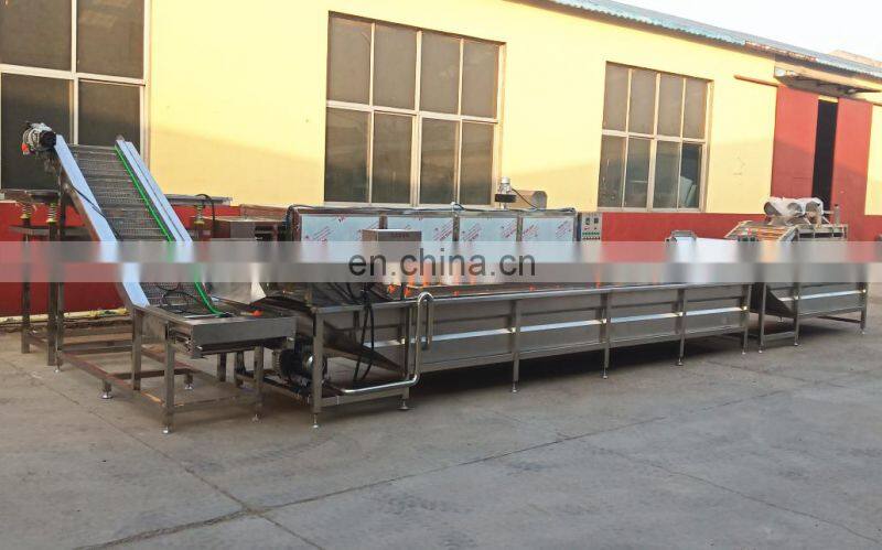 OrangeMech commercial air bubble automatic fruit and vegetable apple washing machine