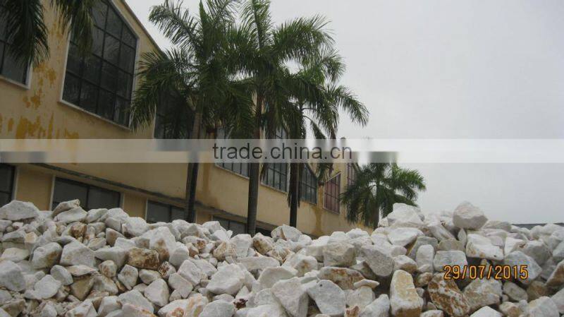 Calcium Carbonate purest (98.5% CaCO3) for paper