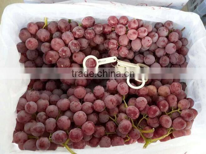 Chinese fresh fruits grape yunnan red grapes