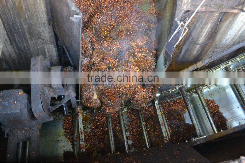 palm oil production machine provided by the most famous bran from China