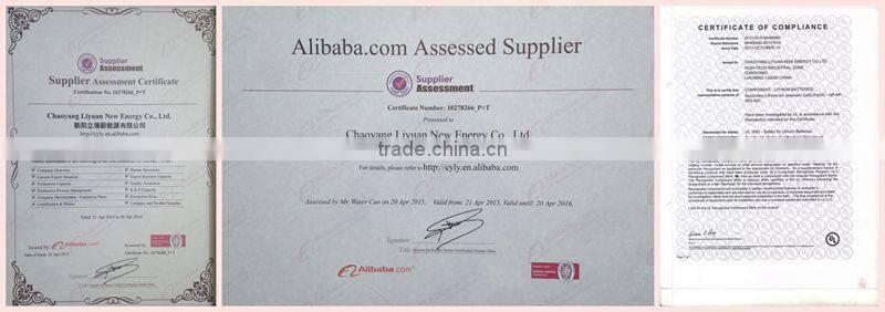 Liyuan supply 48V 60Ah l48v 60Ah LiFePO4 Battery Pack for automotive car, Motorcycles, electric scooter