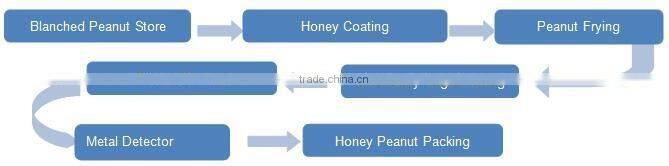 Nut Honey Coating Snack Flavoring Leisure Food Sugaring Coater