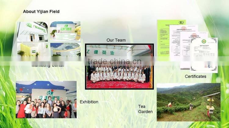 Famous green tea products type organic produce shipping from China