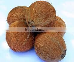semi husked/best quality coconuts in container