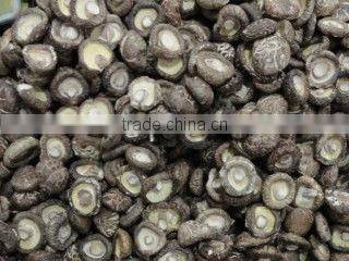 Healthy food dried Shiitake mushroom