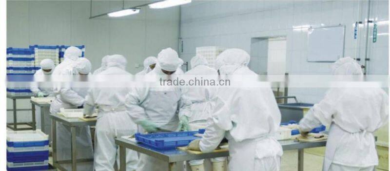 canned tuna fish manufacturers